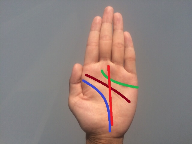 宝くじを爆当てする手相がある !? 高額当せんした強運手相が学べる金運アップ本ダ・ヴィンチWeb