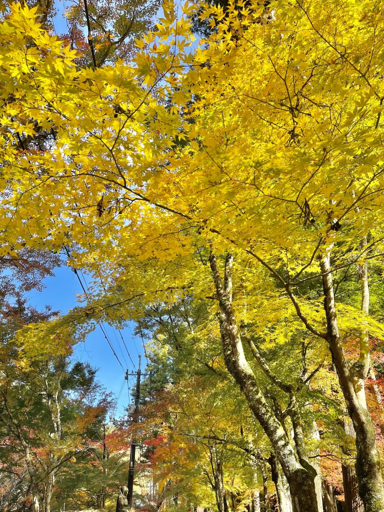 佛通寺 三原 の紅葉の見頃やアクセス。第2駐車場がおすすめ