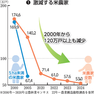 「“コメの生産減りすぎ”が本当の問題」専門家が指摘2025年の夏もまた価格高騰のリスクか？ Nスタ解説 TBS NEWS DIG