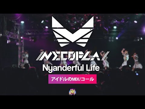 【LIVE】//ネコプラ// 「にゃんだふるらいふ」 ＠2020/1/6新宿ReNY