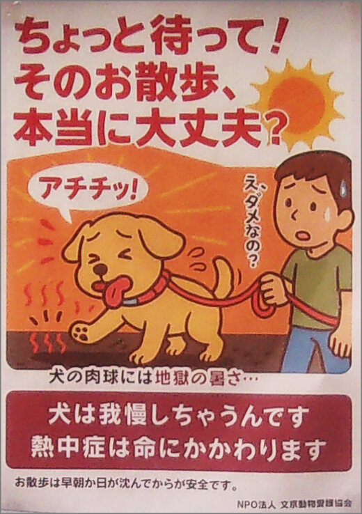 集英社 りぼん 公式サイト