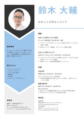解説付 職務経歴書の無料テンプレート Word・PDF・Google Docs対応ビズ研