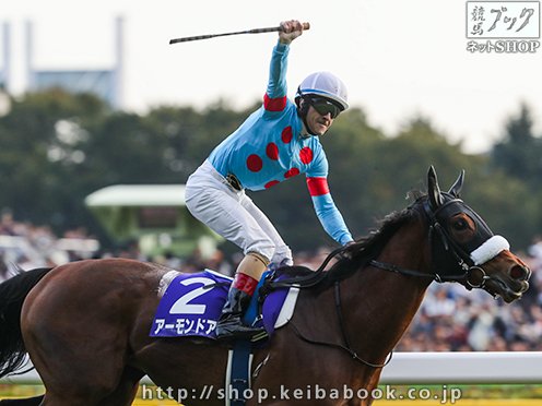 JRA 日本中央競馬会- 今秋の東京競馬から、芝コース内側に設置されている移動柵が新型になっているのをご存知でしょうか？とは言うものの、見た目にはほとんど変わらないため、その変化に気づく方は少ないかもしれません。 移動柵は写真にある白いレール状の部分