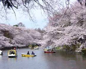 久我山つくし公園【アソビュー！】