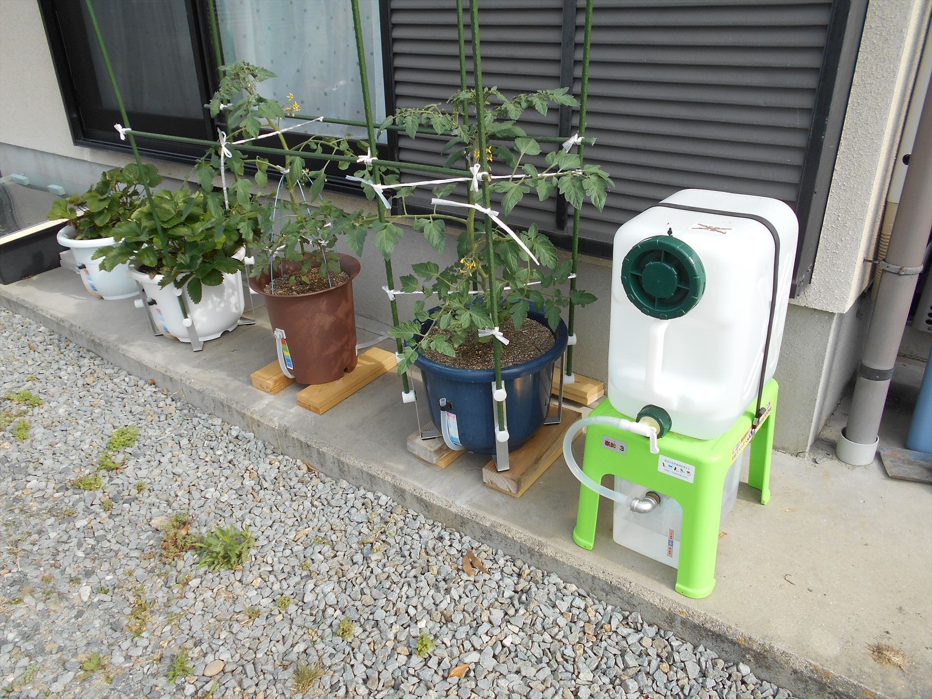 材料費1500円以下で電動自動水やり器を自作する方法芋づるハピネス