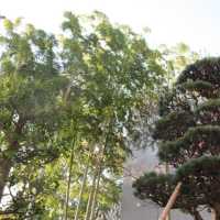 神饌幣帛料供進神社・近代社格制度とは？〜GHQによる解放。神社が国家の統制下にあった時代〜 - 週末はじめました