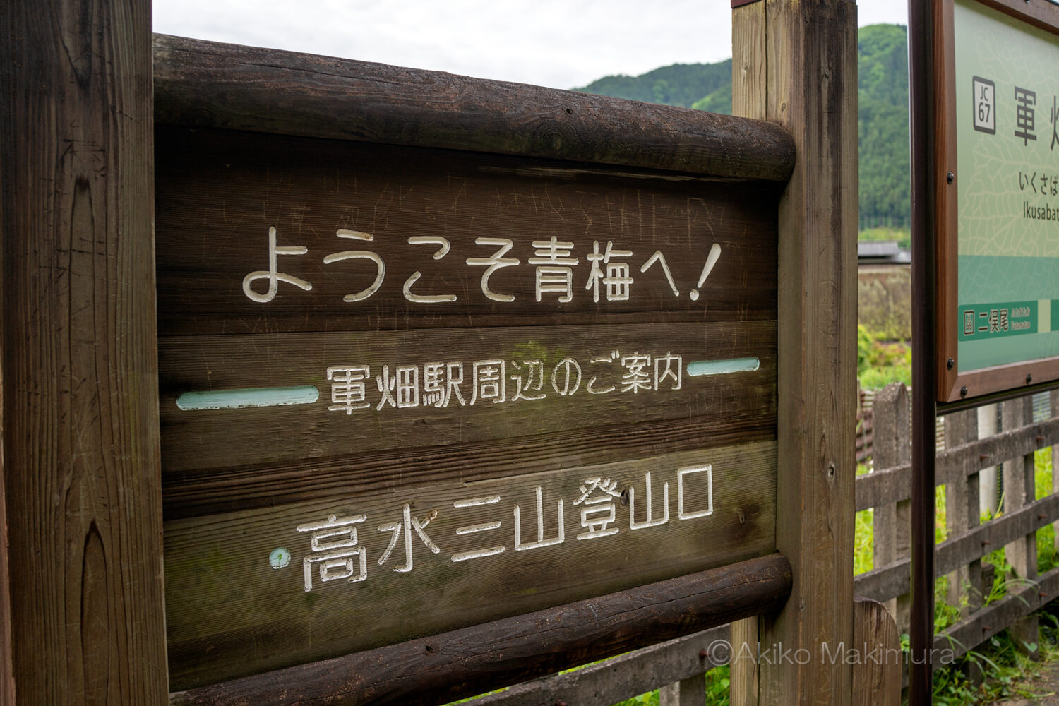 JR軍畑駅＠青梅線 : えきめぐりすとの各駅探訪。