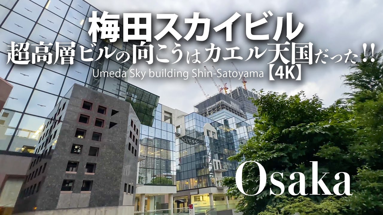 ６日に末広ホコ天 仮装で「だるまさんが転んだ」 ２０周年のＧ―ＦＩＶＥ〝新ヒーロー〟お披露目 「すえひろＤＥハロウィン」も |