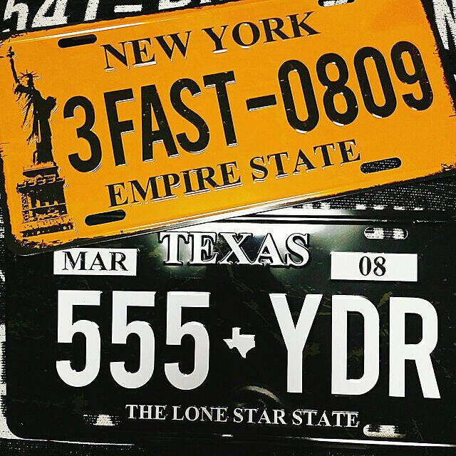 DAISO ダイソー 探険「ウェルカムプレート」およげ１００円