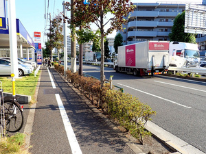 速報 販売店前の街路樹枯れる ビッグモーター 埼玉県が聞き取りへ