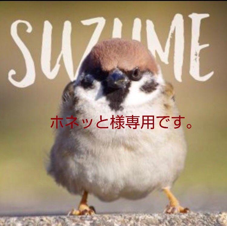 楽天市場 女性 女子 トイレ 男性 男子 禁止 注意書き ステッカー ここは女性専用トイレです 男性は利用できません 張り紙の代わりに サイン 案内表示 : ブランショップ楽天市場店