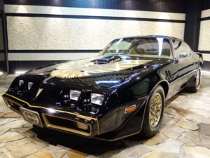 1979 ポンテアック ファイヤーバード - ホイール＆タイヤサイズ、PCD、オフセット、およびリム仕様Wheel-Size.jp