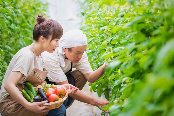 農業分野に特化した求人サイト『農家のおしごとナビ』は、農業での「働きたい」・「働いてほしい」に応えます！マイナビ農業