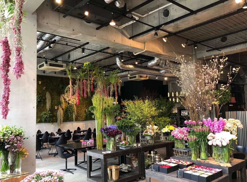 オパス有栖川 新コンセプトルームの創造性を紐解く第3回 ニコライ・バーグマン人生を豊かにする東京ウェブマガジン Curiosity