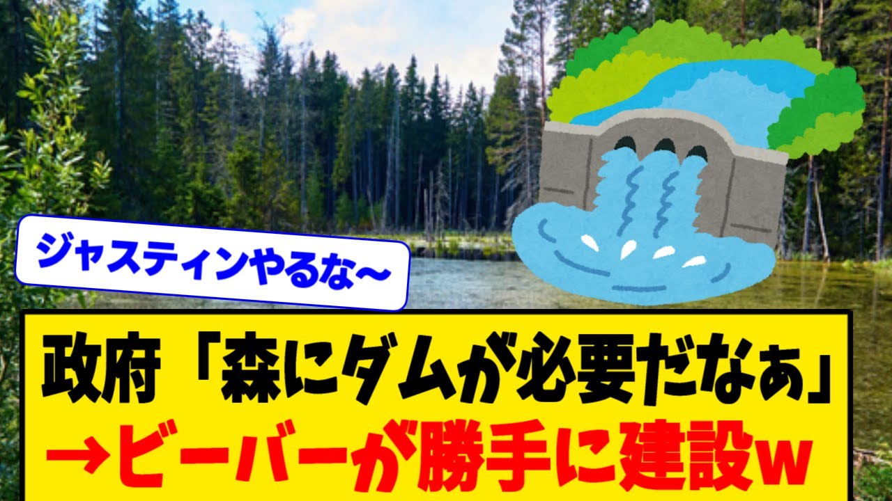 裏の湖にビーバーが住み着いたらしい～ダム建設中カナダでガーデニング生活