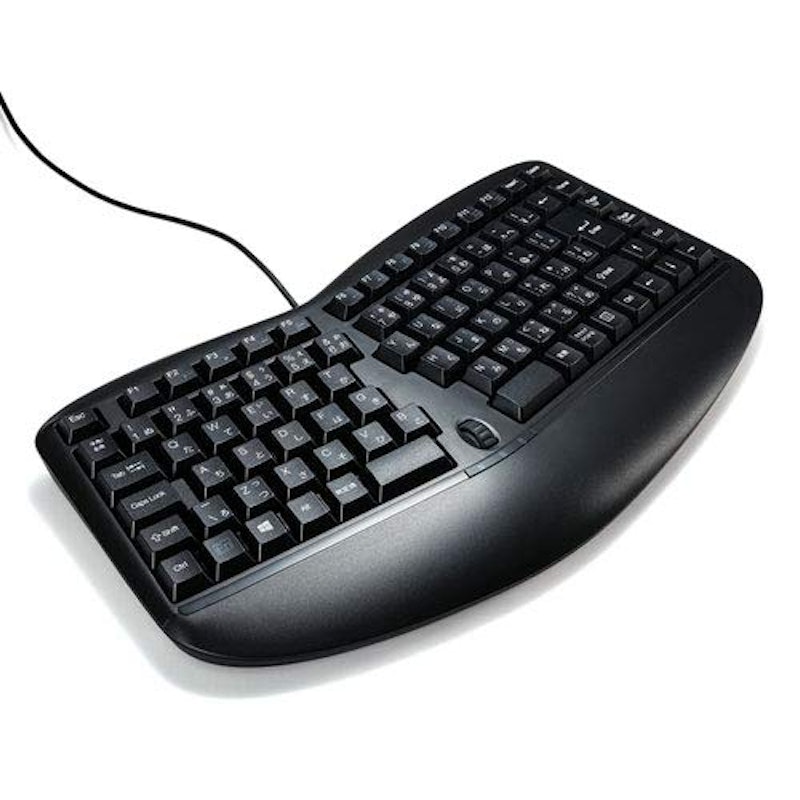 エルゴノミクスキーボードトラックボール・ブラックSKB-ERG5BK サンワサプライ激安通販のイーサプライ
