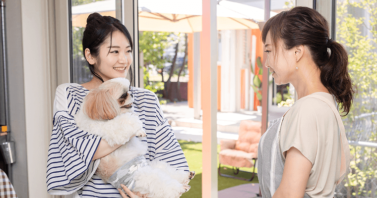 スタッフが教える！ 「ペットショップ」バイトの仕事内容とその魅力DOMO＋ ドーモプラス
