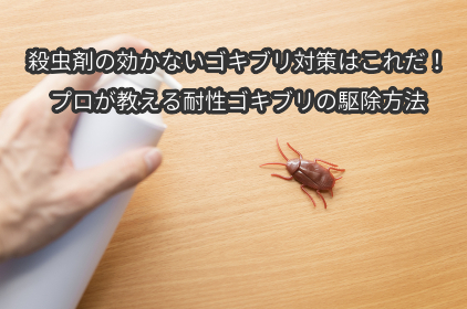 はじめ 株主優待 ＪＧＣ on X: 