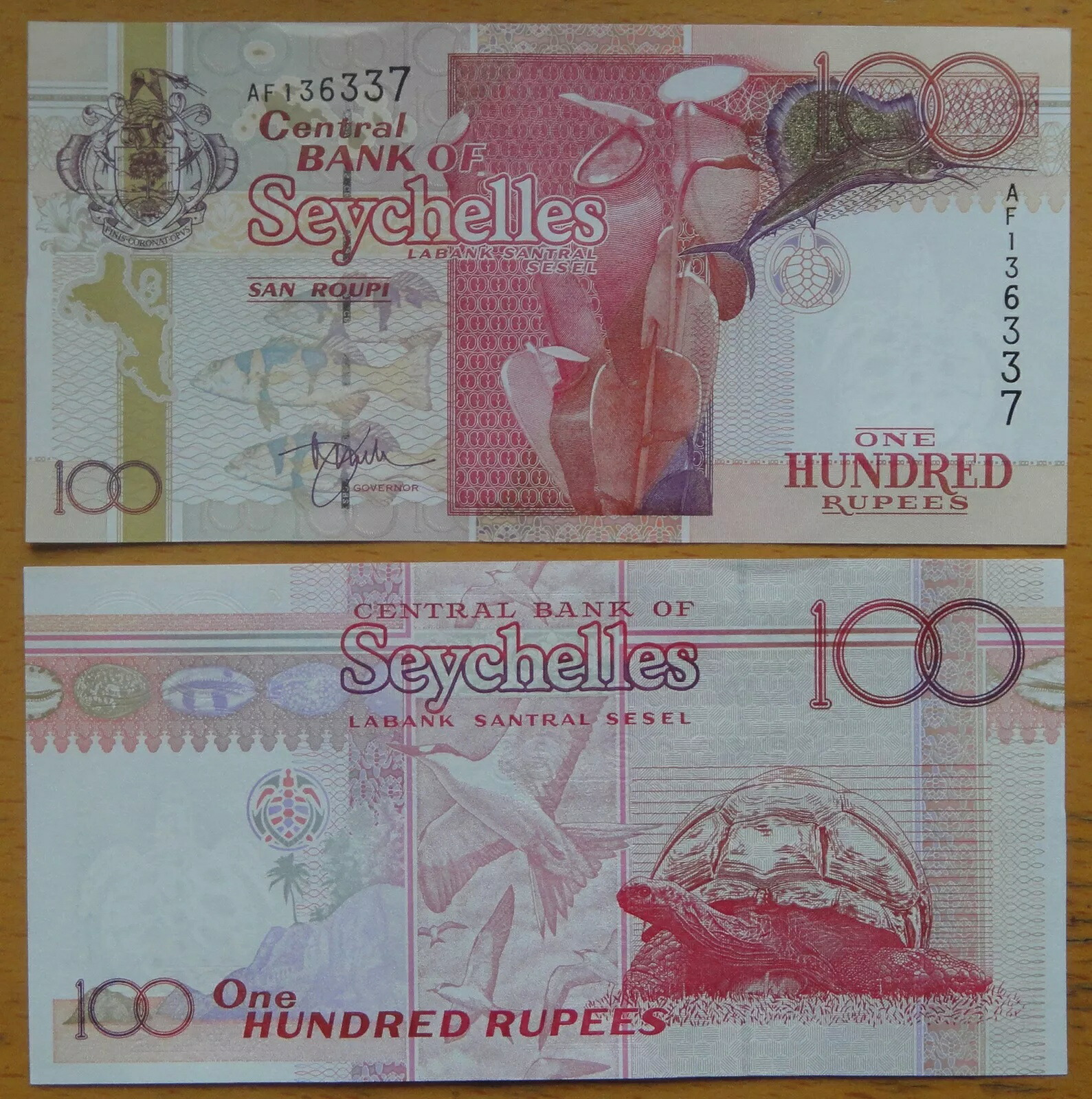 184 インド100ルピー札 Stock Photos, High-Res Pictures, and Images - Getty Images