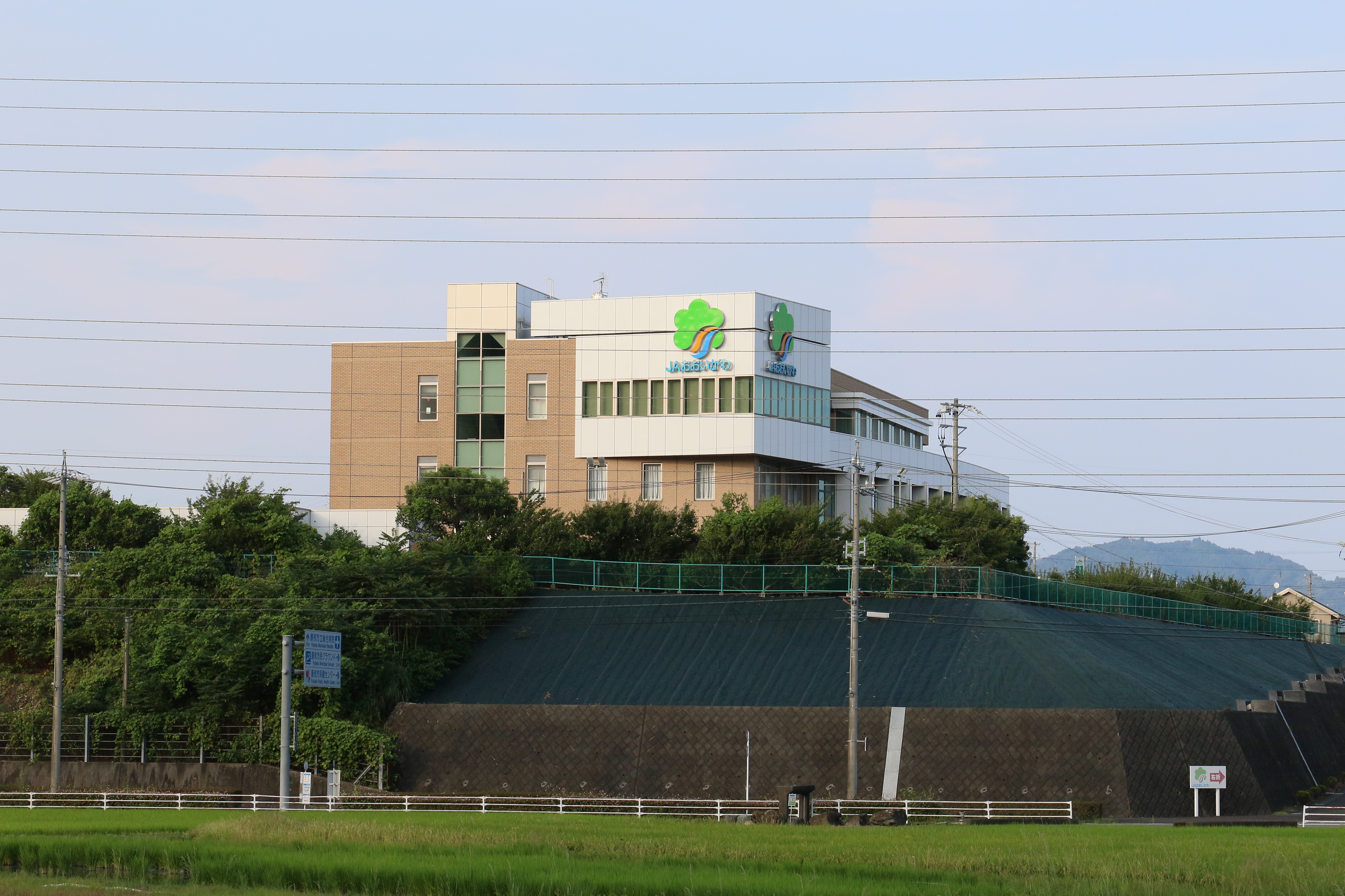 大井川農業協同組合 茶果菜保育園とよだの求人・採用・アクセス情報ジョブメドレ