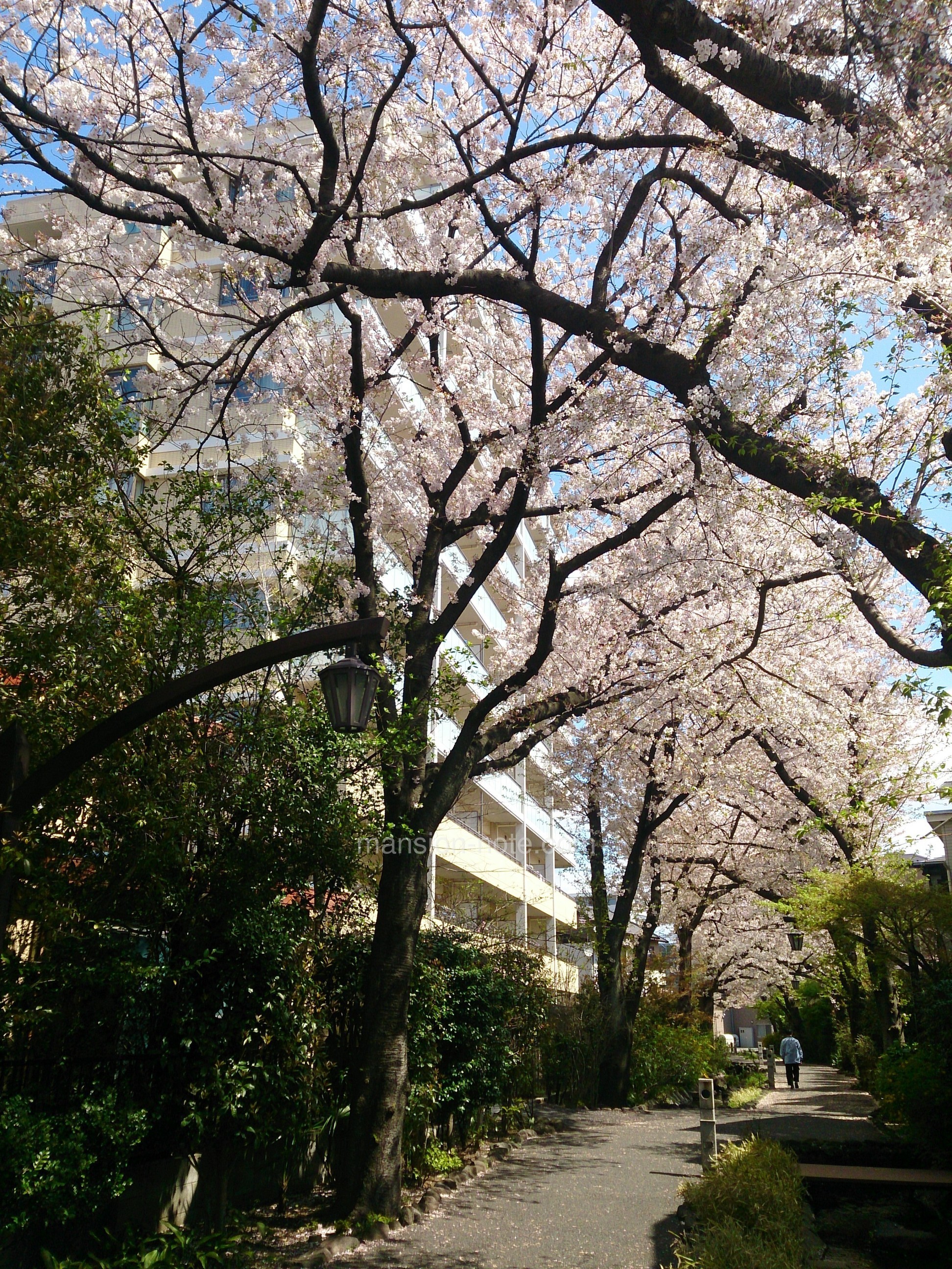 綾瀬駅周辺の住みやすさ！治安や家賃相場・口コミなど大公開 一人暮らし
