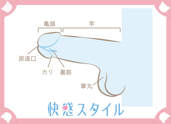 フェラでいけない悩みを解決！気持ち良くない原因とフェラでいくコツ13選を紹介｜風じゃマガジン