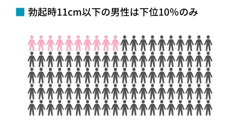 男性器の大きさは女性にとって重要なのかというアンケート結果をまとめた図 - GIGAZINE