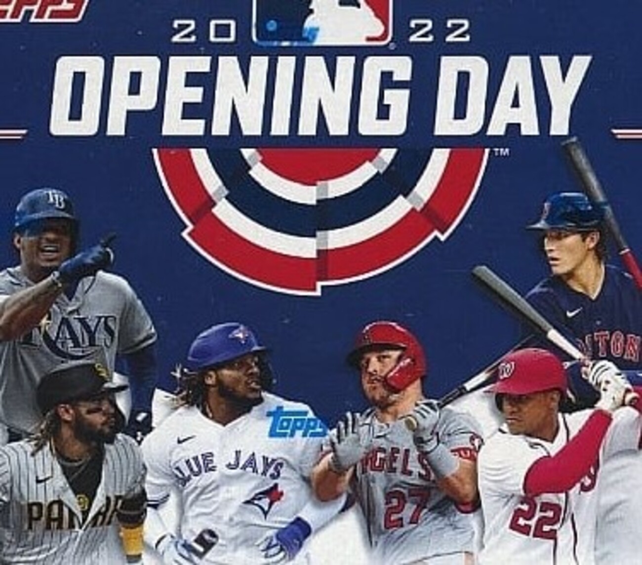 トミージョンでリハビリ中のレイズのエース左腕マクラナハンが2年10億4000万円で合意 - スポニチ Sponichi Annex 野球