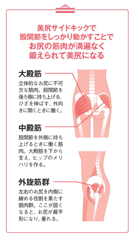 美尻ヨガって効果あるの？内容・注意点・ポイントを専門家が解説！ - マシンピラティススタジオ『ルルト』パーソナルトレーニング