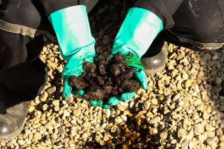 期待の新星、オイルサンドの失速が始まった 2 4 日経エネルギーNext