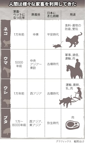 三浦瑠麗 - Wikipedia