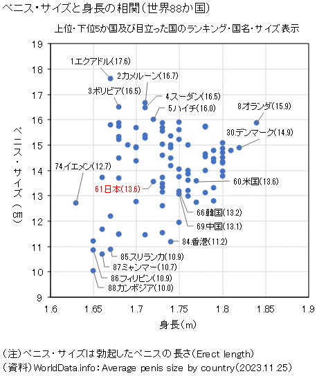 女性の理想とするペニスサイズは何cm？【図解解説】 | セクテクサイト