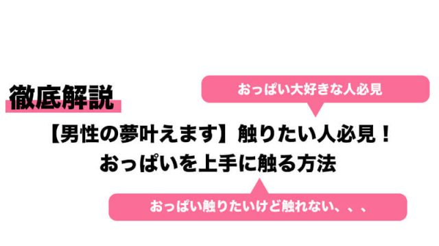 誰でもできる！）簡単に女子のムネを触れる3つの方法を編み出した！ | 新橋酔式の泥酔ブログ(せんべろ居酒屋探訪)