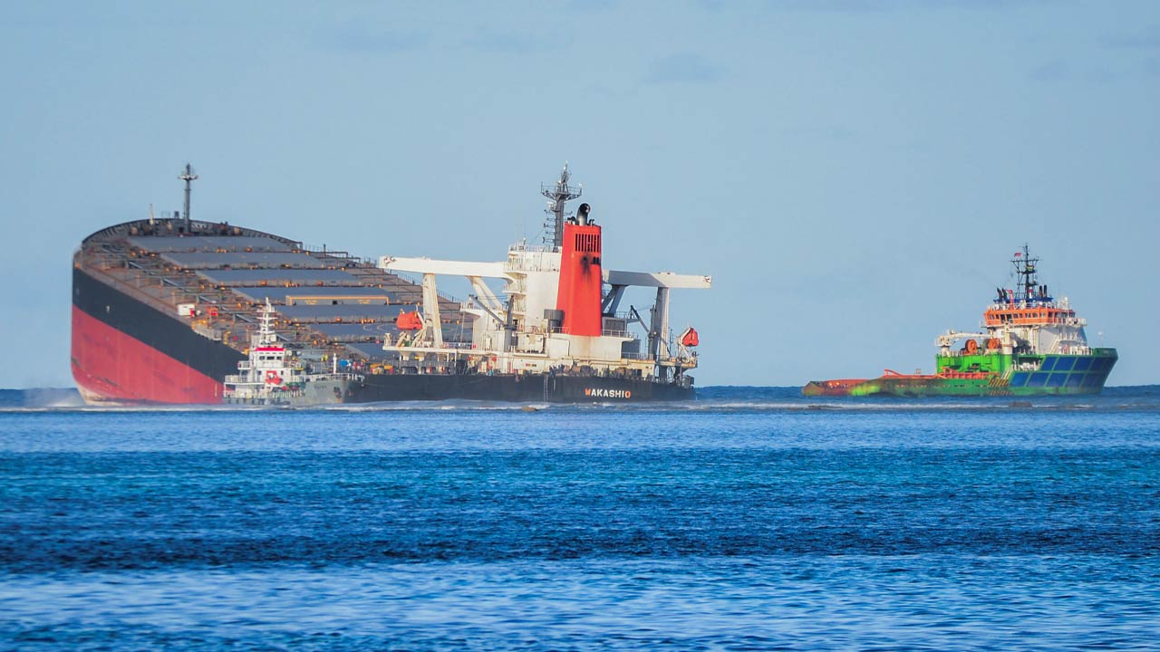 記事 ラッコと原油流出：エクソン・バルディーズ号原油流出事故から25年The Exxon Valdez Oil Spill: 25 YearsAgo Today - らっこちゃんねるSea Otter Channel - ラッコ情報・記事・動画・写真をご紹介