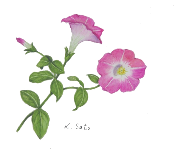 技術士協同組合