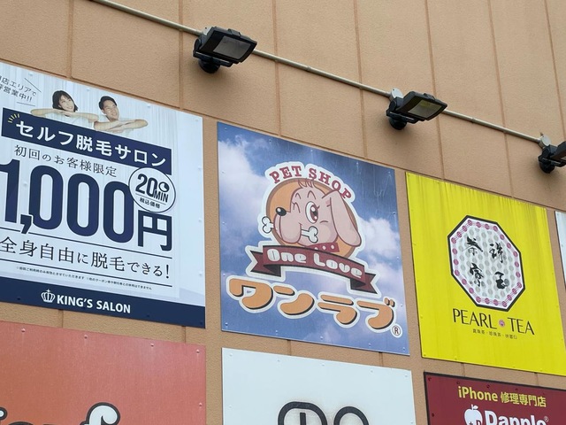 ＭＥＧＡドン・キホーテＵＮＹ 岐阜店 ホームメイト