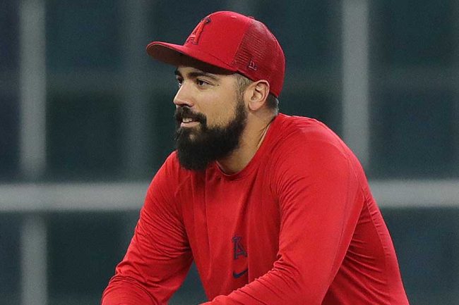 エンゼルスのレンドンが今季初安打、今季年俸57億円、オフには「野球は仕事」発言で物議を醸す - ＭＬＢ写真ニュース : 日刊スポーツ