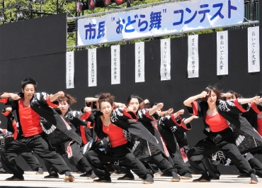 おいでん横丁 | イベント・祭