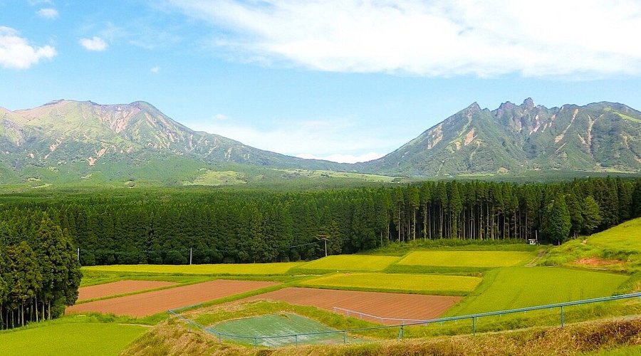 クチコミ : 草村サイト - 北葛城郡上牧町下牧 ドーナツ店Yahoo!マップ