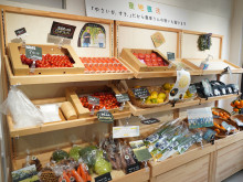 代官山青果店 閉店TikTok