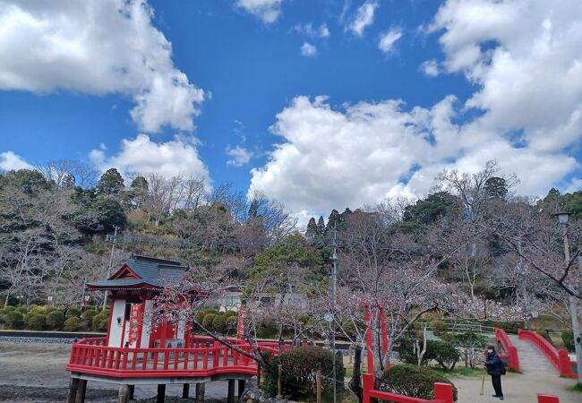 茂原公園(茂原市)で法人（社員）の出張撮影｜カメラマンの撮影例と価格で比較！11,000円(税込)〜