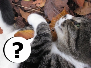 していただく」は敬語表現！意味や使い方、例文を紹介Indeedインディード