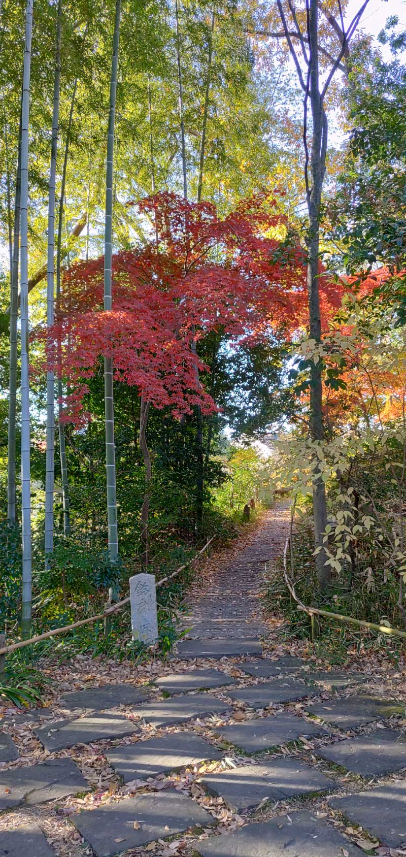 旅荘 海の蝶】に宿泊！お部屋の感想ブログ！