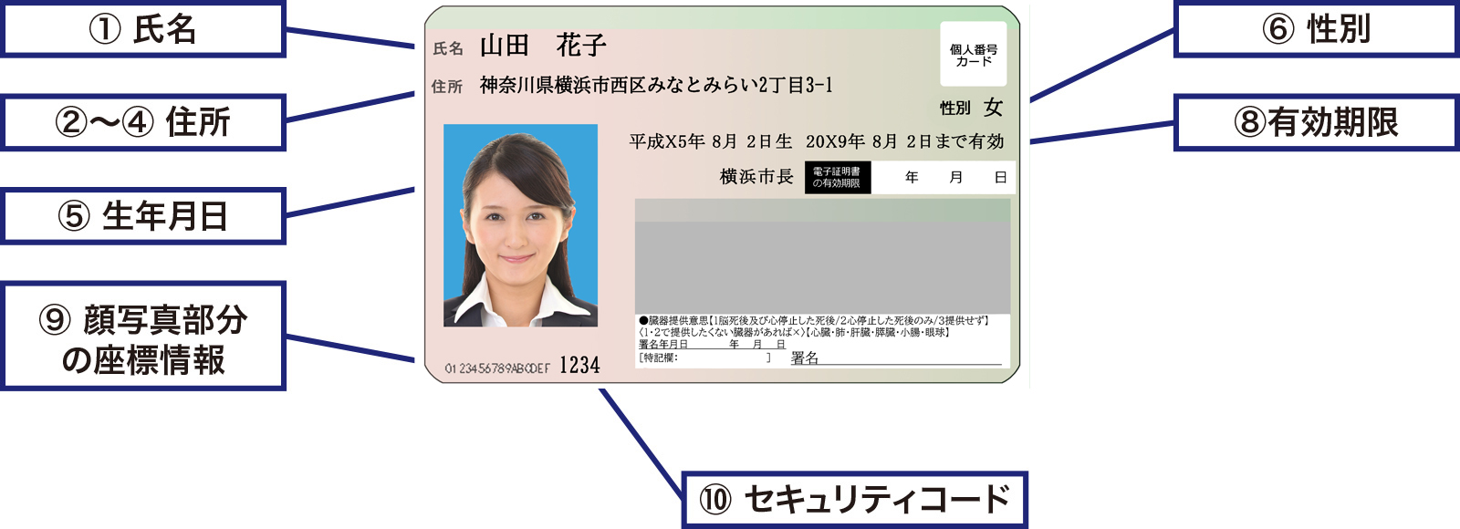 マイナンバーカード 個人番号カード札幌市