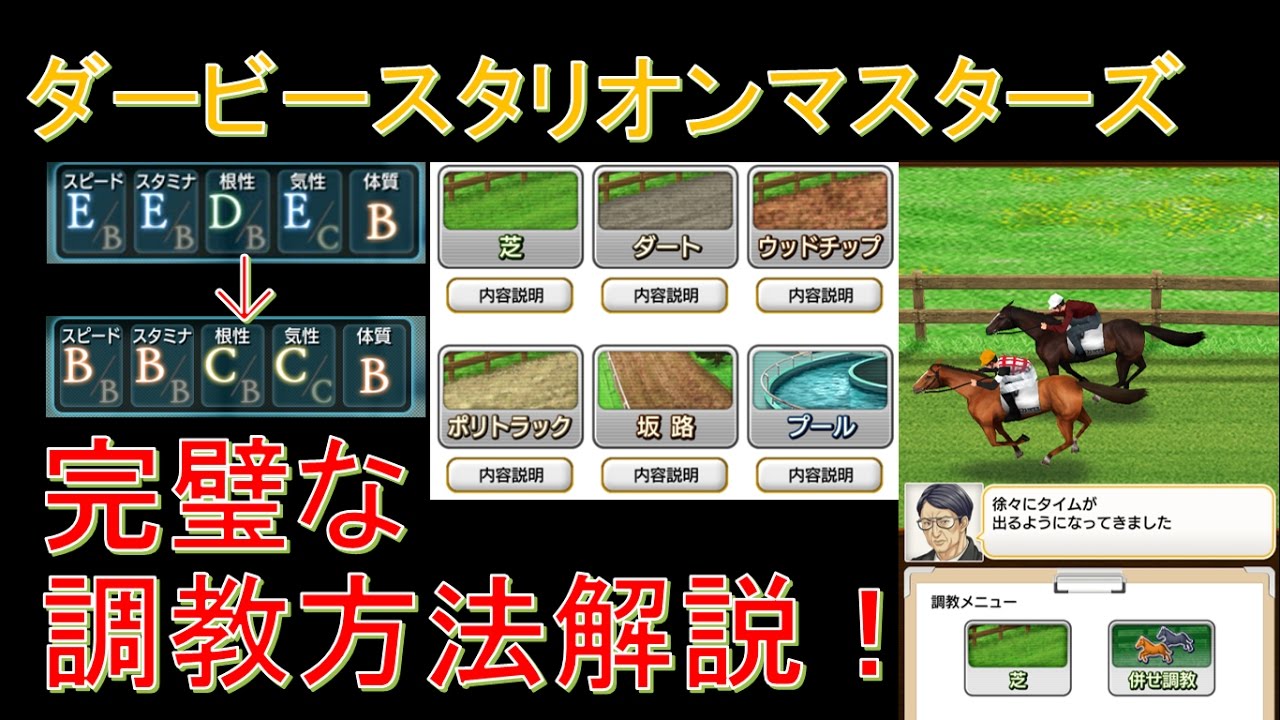 調教とは馬の気持ちを考えること - 柏エリアの乗馬クラブ 馬に優しい乗馬クラブ