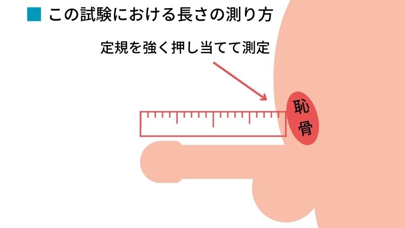 ペニス測定メジャー | ペニスサイズの正確な測定に | バスメイト・ジャパン