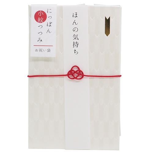 就職祝いのし袋の種類や書き方はコレ！表書きや中袋の封筒の金額などアイシーインフォ