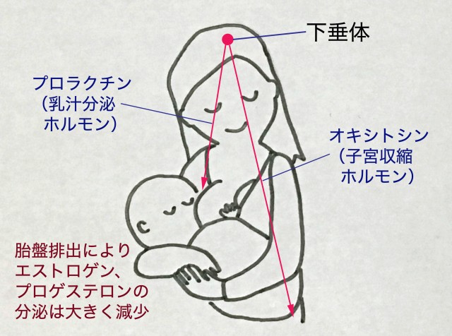 今日の彼、明日のあたし ～Me and My