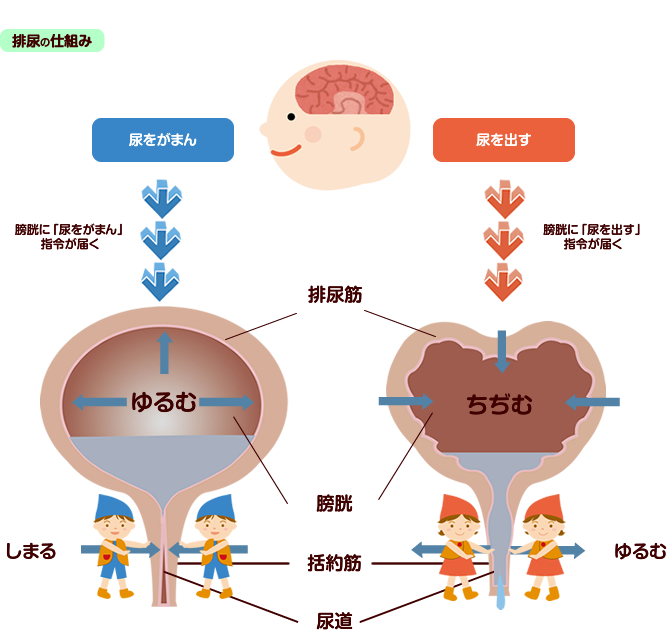 セルフフェラ（一人尺八）が危険な理由を解説【医師監修】 | 新橋ファーストクリニック【公式】