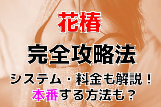 一ノ関駅の風俗/花椿一関や人気のデリヘルの本番できる譲